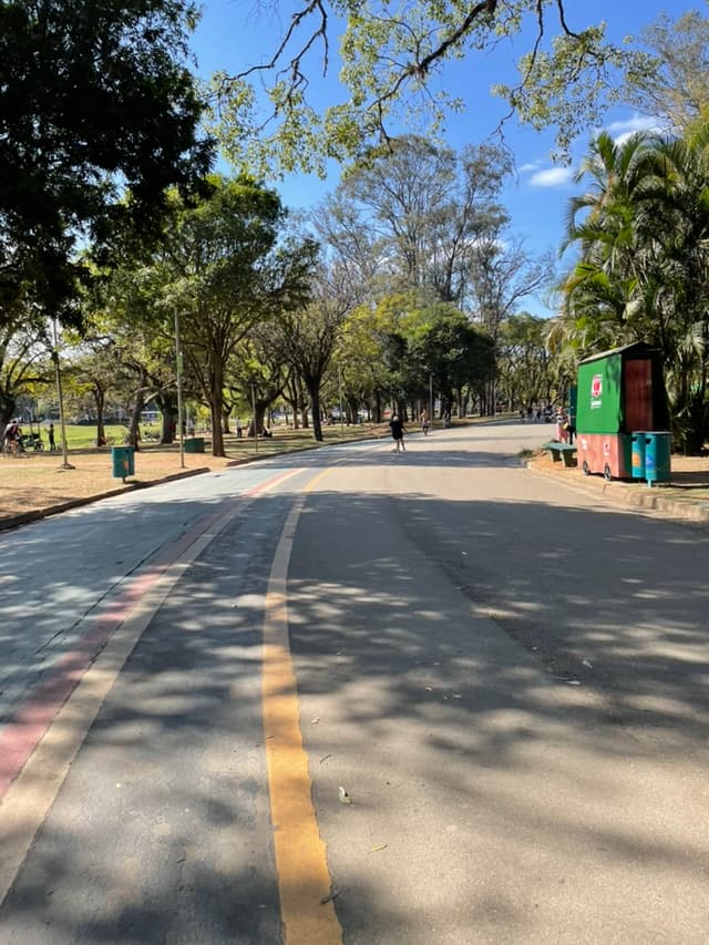 A photo in Ibirapuera Park, São Paulo, BrazilA