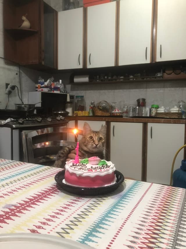 Manu celebrating her first birthday (she didn’t understand anything)