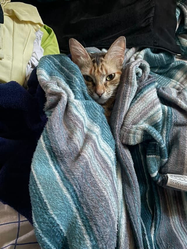 Manu covered up because she’s very cold