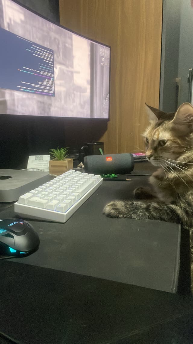 Manu pretending to work to earn treats